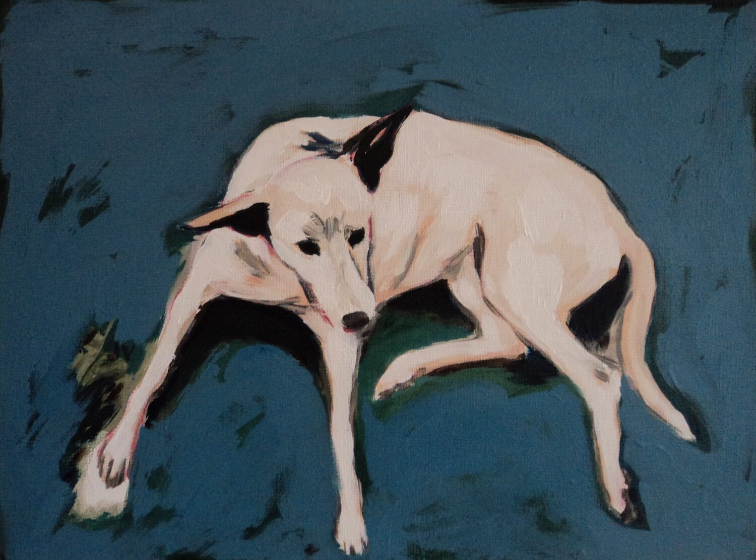 Witte hond op blauw achtergrond (Gambia - Jayven Art)