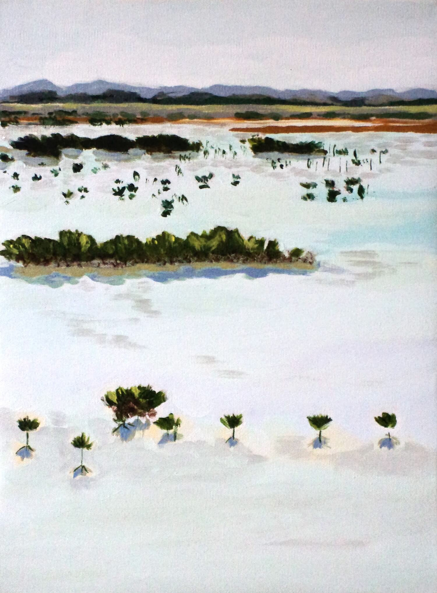 Mangrove Lake (Gambia - Jayven Art)