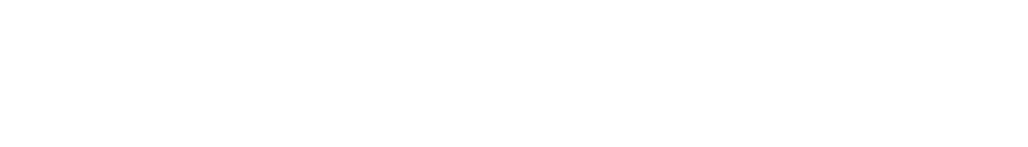 Logo Small Stone Media (wit)